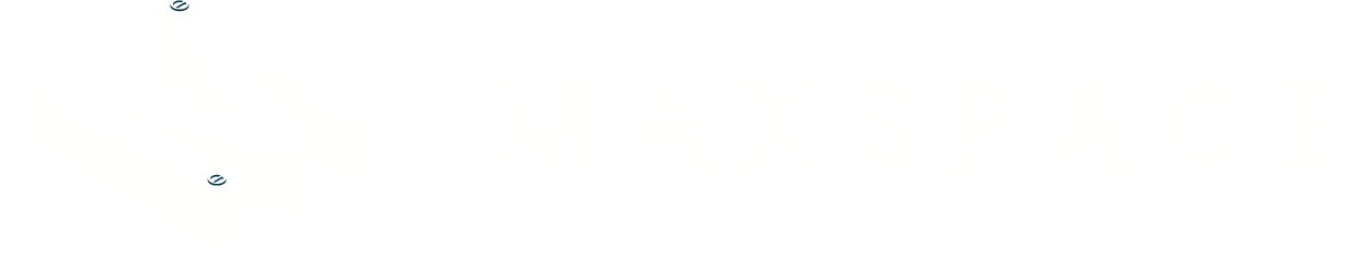 Maxspace logo